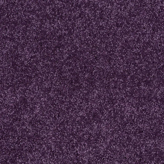 Shaw Floors - Carpet - Full Court 12' - Grape Slushy
