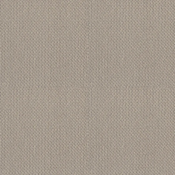 Shaw Floors - Carpet- Foundations Collection - Smart Thinking - Mindful