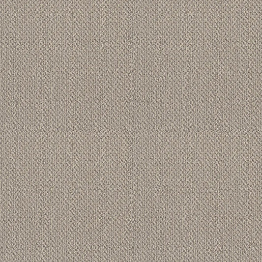 Shaw Floors - Carpet- Foundations Collection - Smart Thinking - Mindful