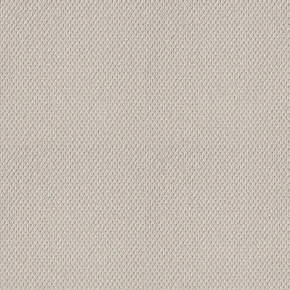 Shaw Floors - Carpet- Foundations Collection - Naturalistic - Winters Dawn