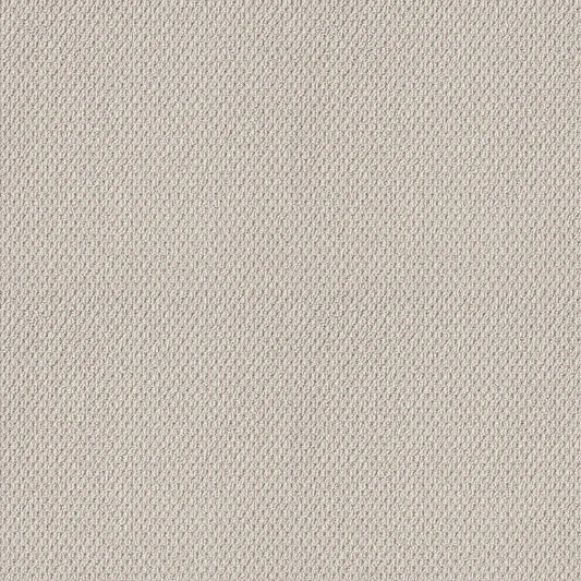 Shaw Floors - Carpet- Foundations Collection - Naturalistic - Winters Dawn