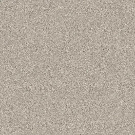 Shaw Floors - Carpet- Foundations Collection - HARMONIOUS III - Split Sediment