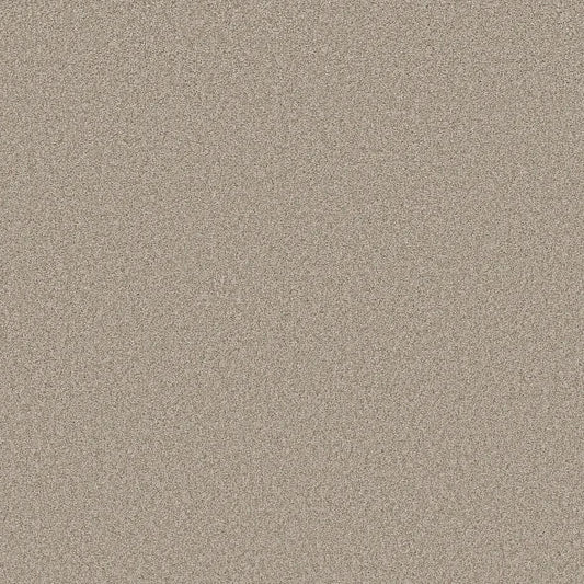 Shaw Floors - Carpet- Foundations Collection - HARMONIOUS III - Fossil Path