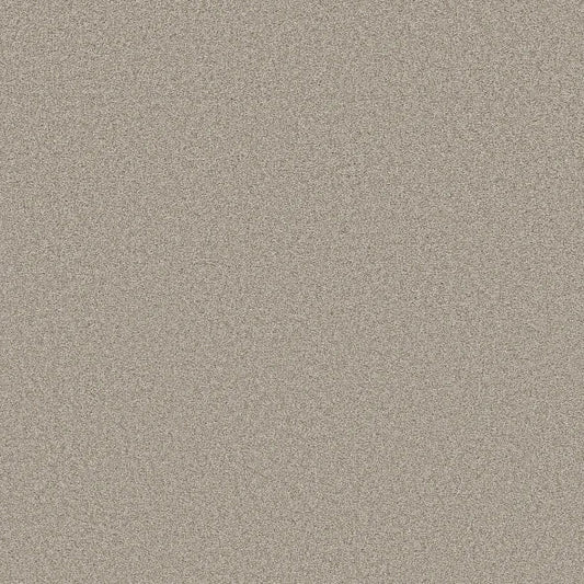 Shaw Floors - Carpet- Foundations Collection - HARMONIOUS III - Baltic Stone