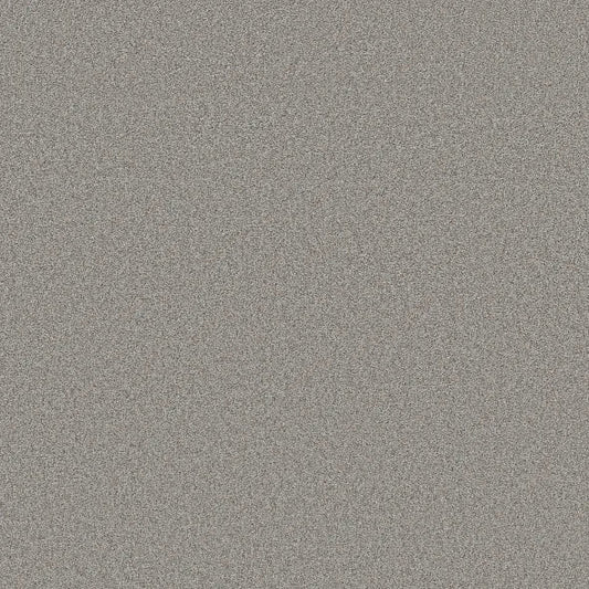 Shaw Floors - Carpet- Foundations Collection - HARMONIOUS III - Grey Fox