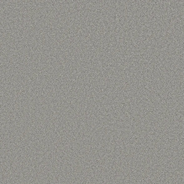 Shaw Floors - Carpet- Foundations Collection - HARMONIOUS III - Sentimental