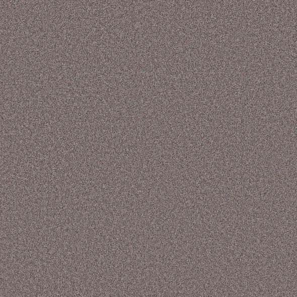 Shaw Floors - Carpet- Foundations Collection - HARMONIOUS III - Deep Connection