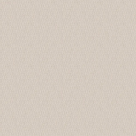 SHAW FLOORS - CARPET - SIMPLY THE BEST - LOOP DE LOOP - CANVAS