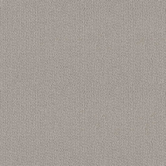 SHAW FLOORS - CARPET - SIMPLY THE BEST - LOOP DE LOOP - WARM GREIGE