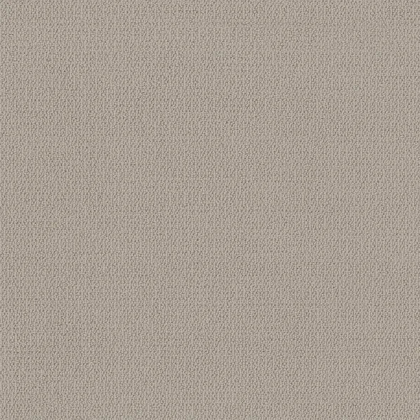 SHAW FLOORS - CARPET - SIMPLY THE BEST - LOOP DE LOOP - SANDSTONE