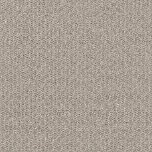 SHAW FLOORS - CARPET - SIMPLY THE BEST - LOOP DE LOOP - SANDSTONE