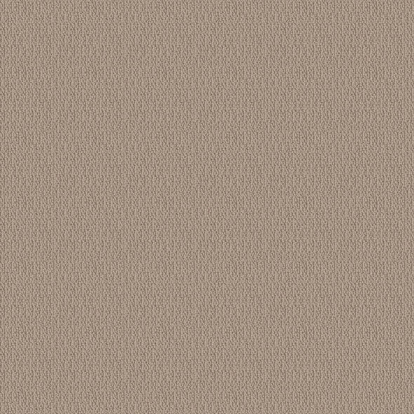 SHAW FLOORS - CARPET - SIMPLY THE BEST - LOOP DE LOOP - PEBBLE PATH