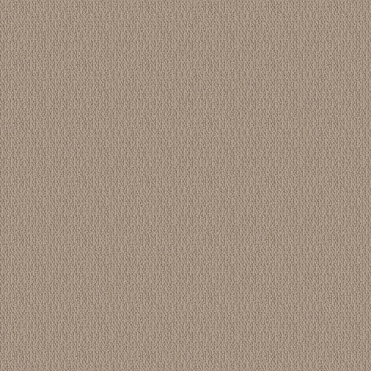 SHAW FLOORS - CARPET - SIMPLY THE BEST - LOOP DE LOOP - PEBBLE PATH