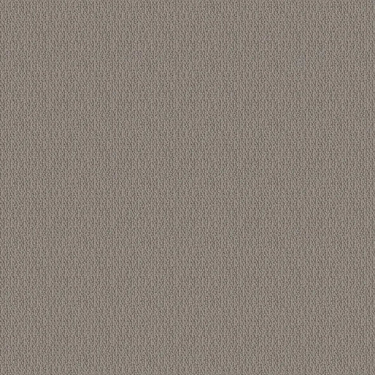 SHAW FLOORS - CARPET - SIMPLY THE BEST - LOOP DE LOOP - INDUSTRIAL