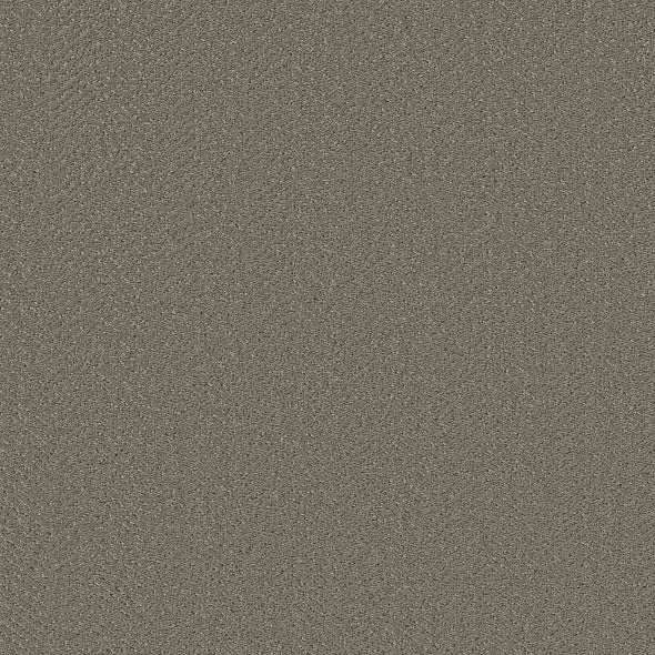 Shaw Floors - Carpet- Simply The Best - Highland Twill - Fallen Acorn