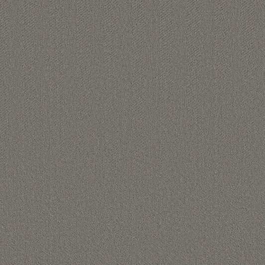 Shaw Floors - Carpet- Simply The Best - Highland Twill - Lunar Haze
