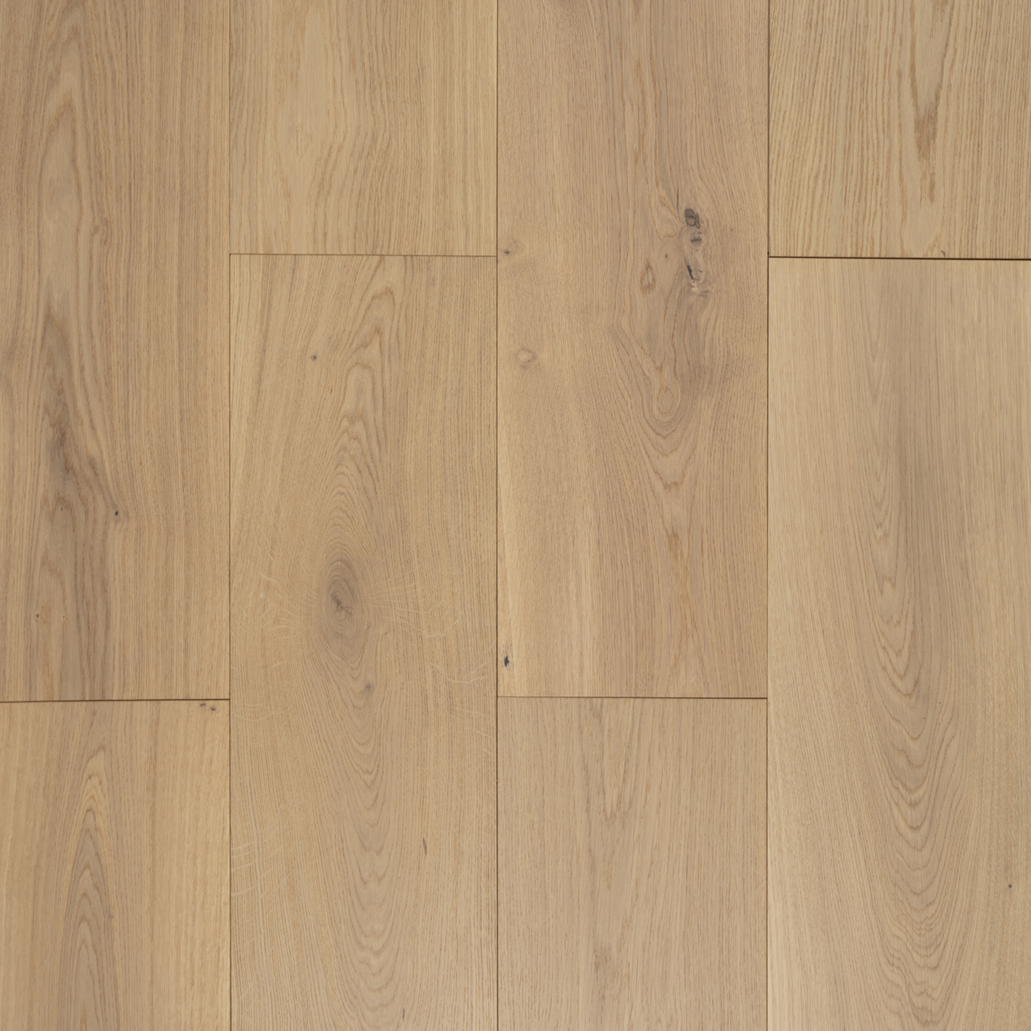 Vidar - West Coast Collection - Macaroon - 7 1/2" - 7' - ABCD