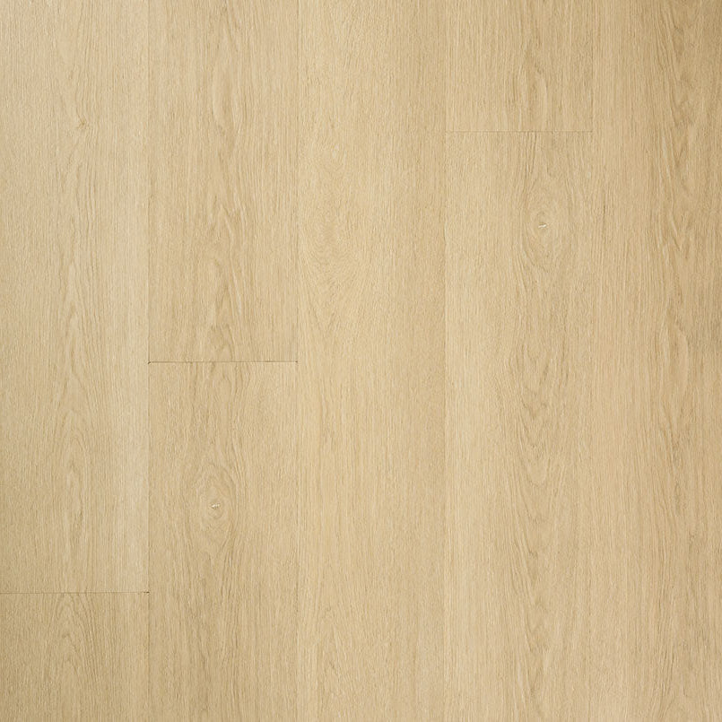 MSI Surfaces - Laurel Collection - Malta