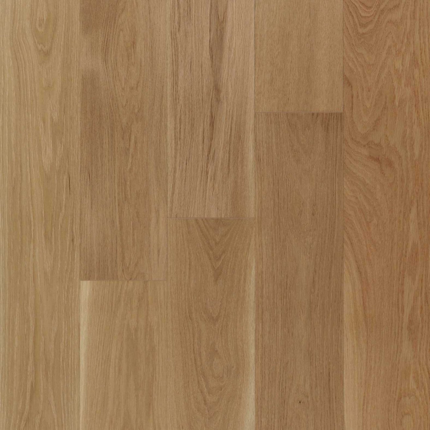 Vidar - West Coast - Milky Way " - 5' - AB