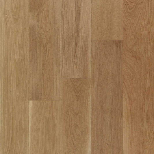 Vidar - West Coast - Milky Way " - 5' - AB