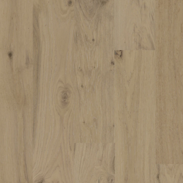 BIYORK - Nouveau 6 Collection - Morning Oats