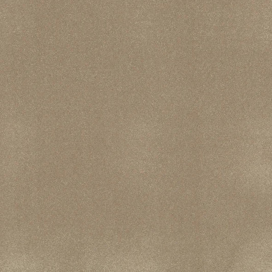 Shaw Floors - Carpet - Classics Collection  - Awaken Spirit II - 15' - Muffin