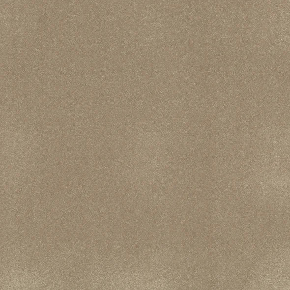 Shaw Floors - Carpet - Classics Collection  - Awaken Spirit I - 12'- Muffin