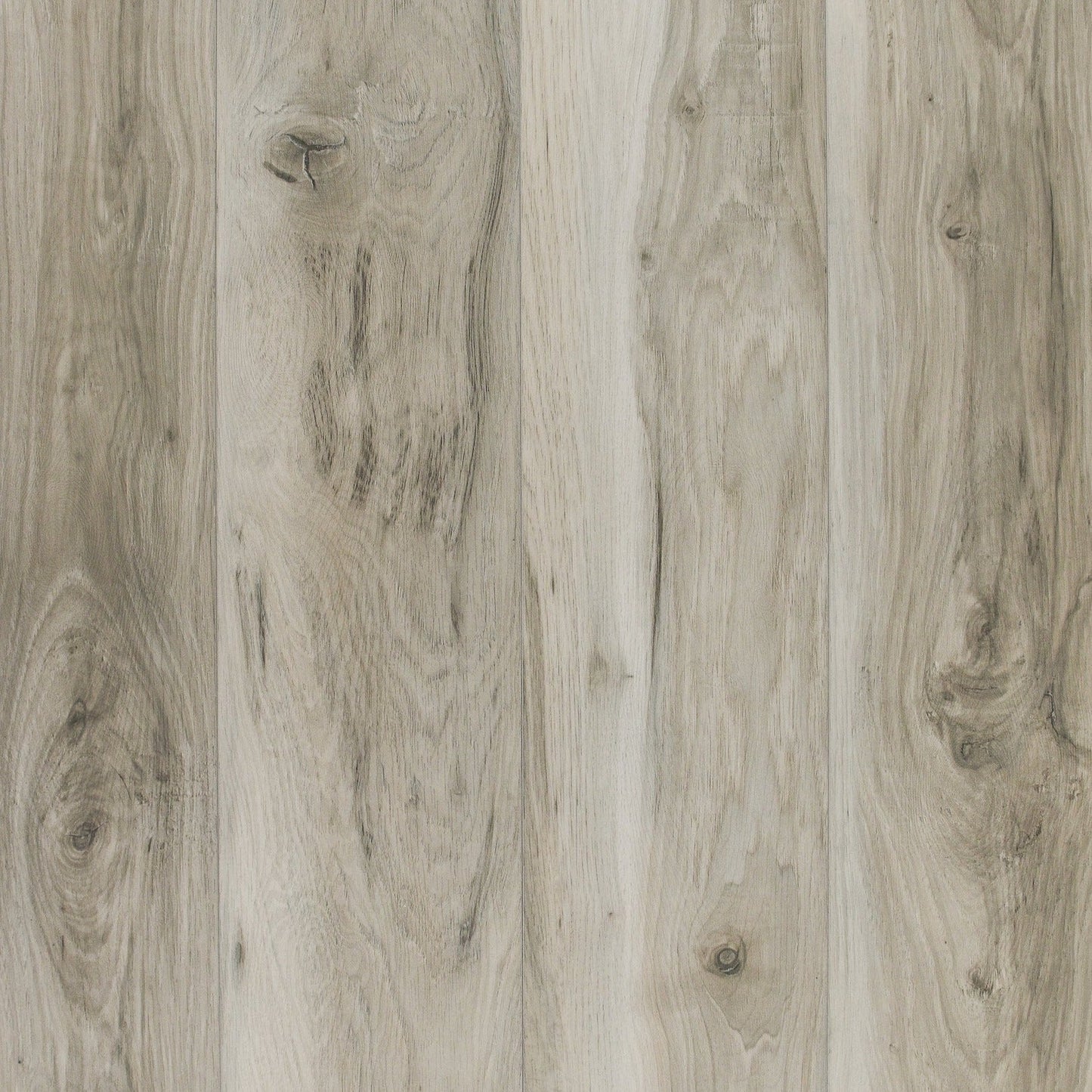 TURION - Saga Collection - Murex