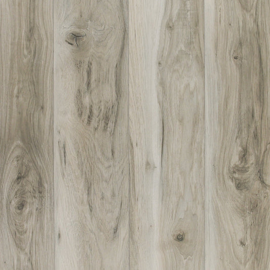 TURION - Saga Collection - Murex