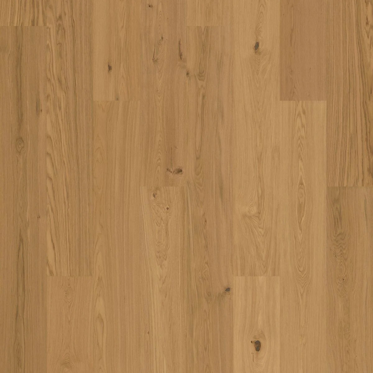 BJELIN - WOODURA - NATURE COLLECTION - XXL FORMAT - OAK - NATURAL