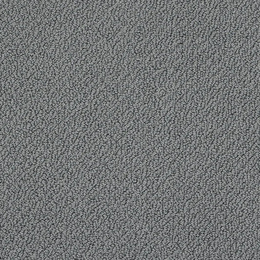 Shaw Floors - Carpet- Foundations Collection - Night Club