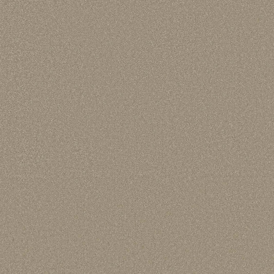 Shaw Floors - Carpet - Classics Collection  - Awaken Spirit II - 15' - Neutral Ground