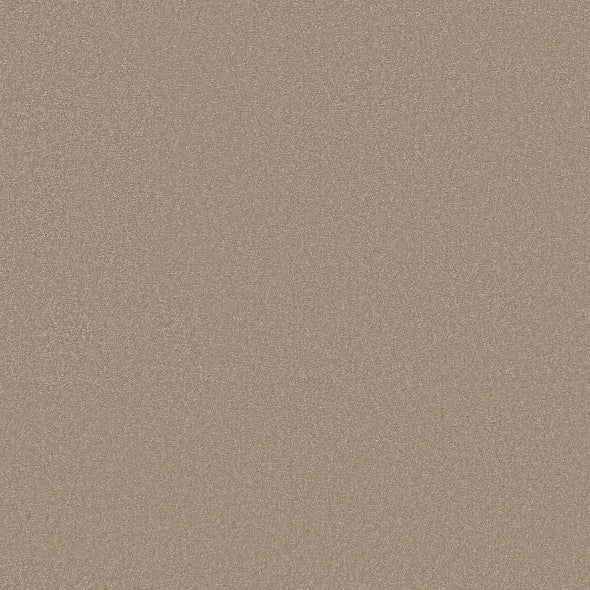 Shaw Floors - Carpet - Classics Collection  - Awaken Spirit I 12' - Neutral Ground