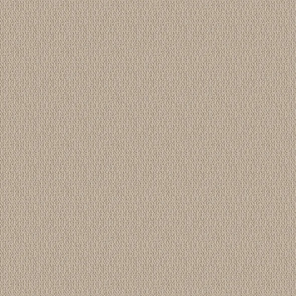 SHAW FLOORS - CARPET - SIMPLY THE BEST - LOOP DE LOOP - NATURAL WOOD