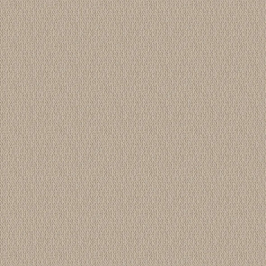 SHAW FLOORS - CARPET - SIMPLY THE BEST - LOOP DE LOOP - NATURAL WOOD