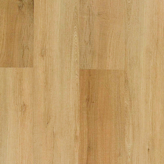 TURION - Aventis Collection - Nomad