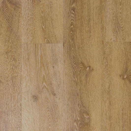 TURION - Icon Collection - Notion