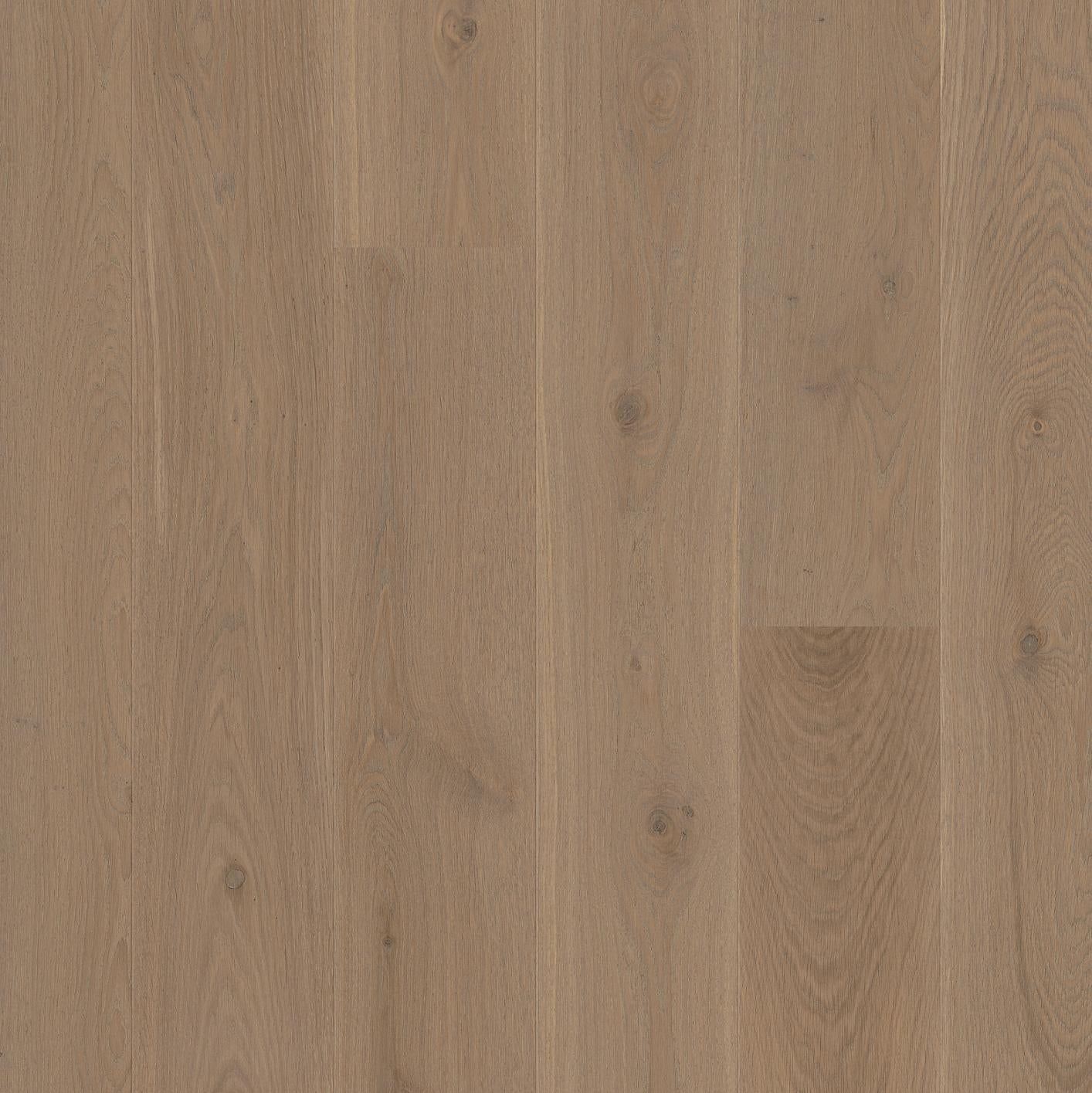 BOEN - ENGINEERED - CASTLE PLANK - LIVE NATURAL OIL - 8 1/4" - OAK SAND