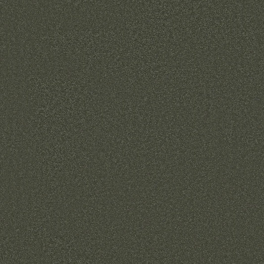 Shaw Floors - Carpet - Classics Collection  - Awaken Spirit I 12' - Olive Tree