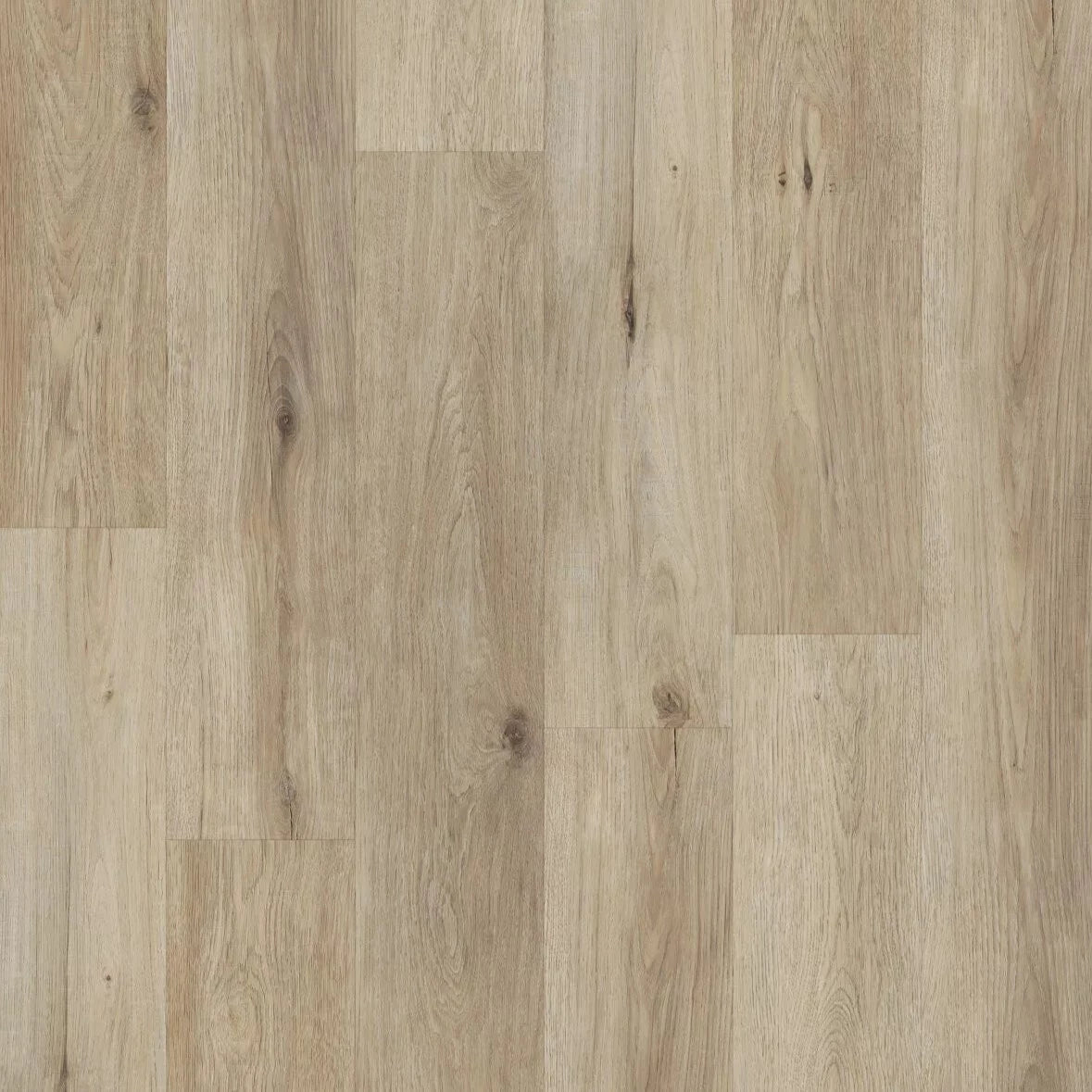 Pristine - Classic Collection - Oak Under The Moon