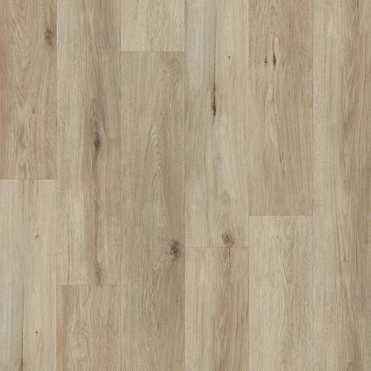 Pristine - Classic Collection - Oak Under The Moon