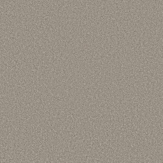 Shaw Floors - Carpet - Simply The Best  - TRUSOLUTIONS III - Stone Path