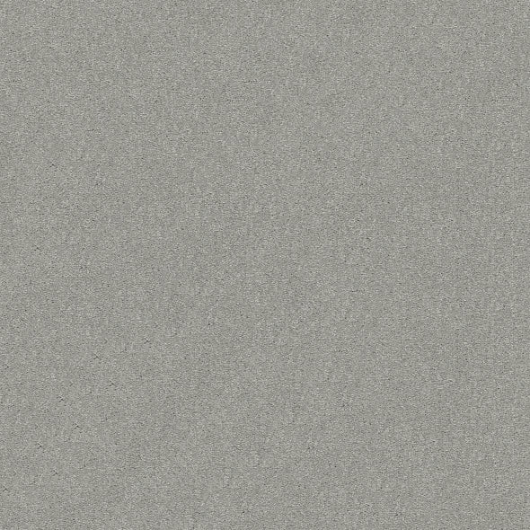 Shaw Floors - Carpet - Simply The Best  - Attainable - Platinum