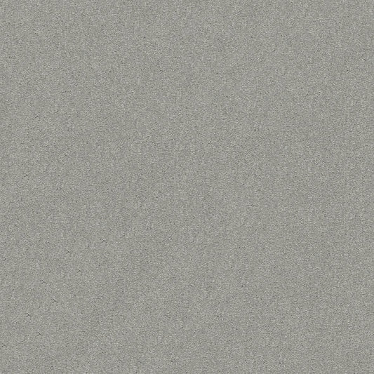 Shaw Floors - Carpet - Simply The Best  - Attainable - Platinum