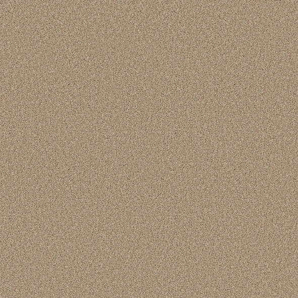 Shaw Floors - Carpet - COMFORTING II - Picket Fence