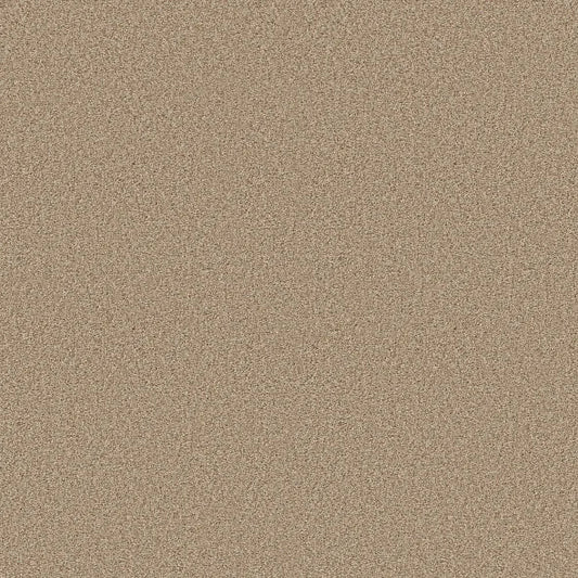 Shaw Floors - Carpet - COMFORTING II - Picket Fence