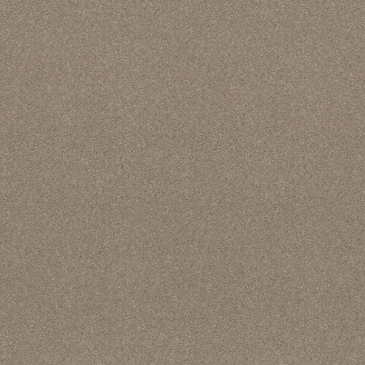 Shaw Floors - Carpet - Simply The Best  - Attainable - Pebble Path