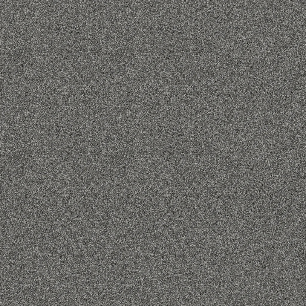 Shaw Floors - Carpet - COMFORTING II - Pencil Point