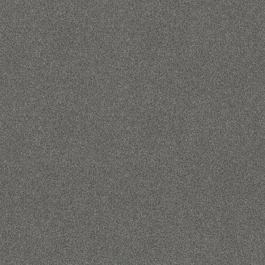 Shaw Floors - Carpet - COMFORTING II - Pencil Point