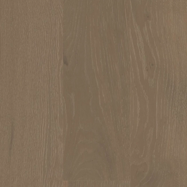 BIYORK - Nouveau 6 Clic Collection - Painter's White